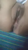 1000066039.webp