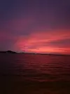 1000007523.webp