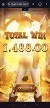 1000006495.webp