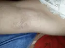 1000004463.webp