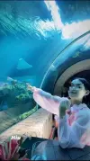 ZMUrL89w.webp ZMUrL89w.webp