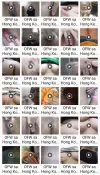 Shai ET ~ OFW sa Hong Kong.webp