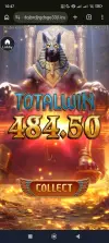 1000006570.webp
