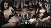 766191802_lf074_primal_lucymochi_wolf_v6-c1280x720.webp 766191802_lf074_primal_lucymochi_wolf_v6-c1280x720.webp