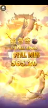 Screenshot_20260228-160031.webp