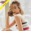 SLAPARA.webp