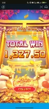 1000006638.webp