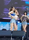 sakura 2.webp