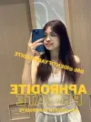 Screenshot 2026-02-23 125355.webp