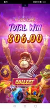 1000004816.webp