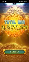 1000004828.webp