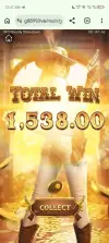 3976.webp