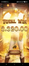 7031.webp