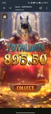 1000006761.webp