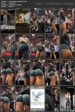 46062.webp