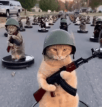 1000036761.gif