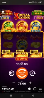 1000089515.webp
