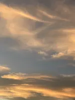 1000036669.webp