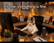 everything-is-fine-cat-office-fire.gif