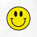 il_fullxfull.3258604881_7i19.webp