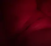 HPCxEs_bMAEFmm8.webp