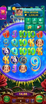 1000009833.webp