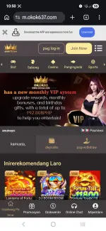 6583.webp