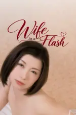 Wife.In.A.Flash.2021.1080p.VMAX.WEB-DL.AAC.2.0.H264-TRICKFLIX.webp