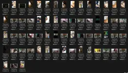 VID SS.webp