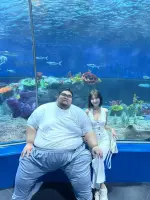 1790685998888.webp