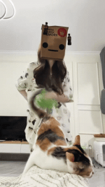 b2c1fj.gif