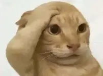 822276539_1106170805218558_4096704311638015783_n.webp