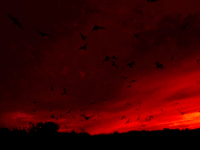 banner.gif banner.gif