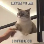 1790828852355.webp