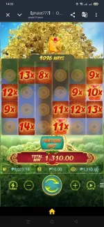 8170.webp