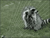 cdb1b3334b8093400e21410a0c3f3809.gif