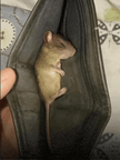 RDT_20261003_0043131396597365746885264.gif