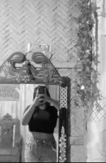 74829w.webp