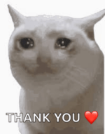 sad-cat.gif