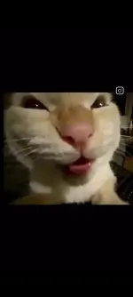 Screenshot_2026-10-05-16-08-03-46_99c04817c0de5652397fc8b56c3b3817.webp