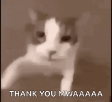 kiss-kitty.gif