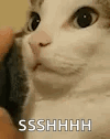 shh-cats.gif