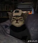 1000207970.webp