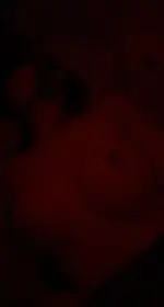 bg+(4).webp