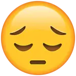1791449043833.webp