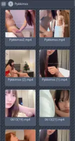 29149.webp