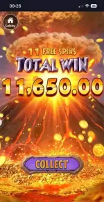 1791641981261.webp