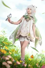 005.webp