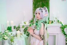 011.webp