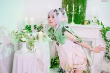 013.webp